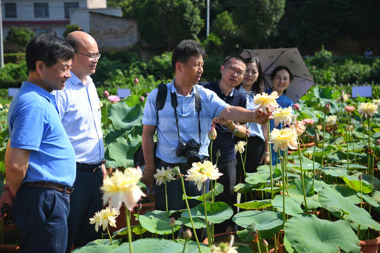 williamhill中国官网